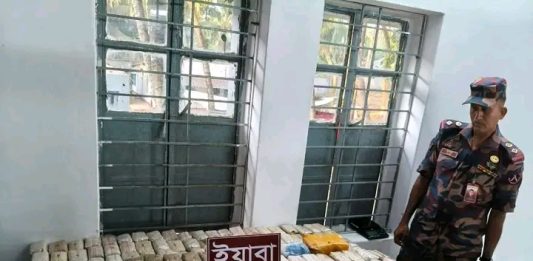 আবদুর রহমান বদি নেই, তবু থামছে না ইয়াবা—কারা তবে নেপথ্যের আসল গডফাদার ?