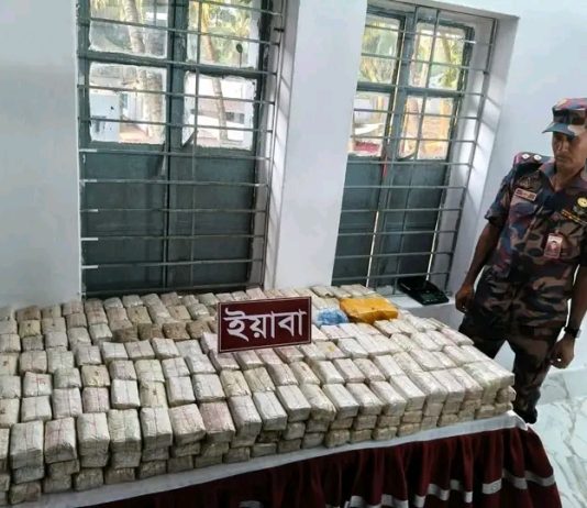 আবদুর রহমান বদি নেই, তবু থামছে না ইয়াবা—কারা তবে নেপথ্যের আসল গডফাদার ?